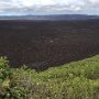 Panoramic view of the crater of Sierra Negre (Isabela Island), about 9 km across.