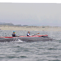 whale+kayak