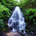 Fairy Falls - still on the loop trail from Multnomah Falls