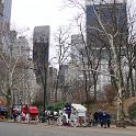 Horse carriages in Central Park