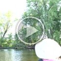 Short video of bald eagle encounter in Merrick State Park (WI)