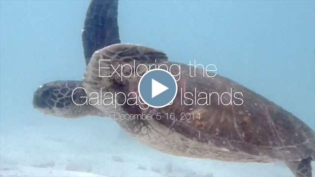 Exploring the Galapagos Islands – December 2014
