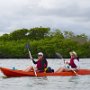 Kayaking out into Tortuga Bay
