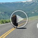 Video montage of our summer visit to Yellowstone and Grand Teton National Parks (5 minutes, 71 MB)