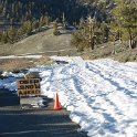 Oh yeah, we did have a lot of snow this year so May is a little early to try to get to the top of the White Mountains and the Ancient Bristlecone Pine forest.
