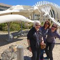Posing in front of the blue whale skeleton at the Seymour Marine Discovery Center