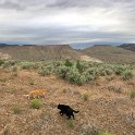 Would've been a cool spot to spend the night (on a county road near John Day Fossil Beds Monument), until somebody came along to claim all this as private land (map showed it as BLM land).