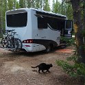 Camping near Winter Park, CO