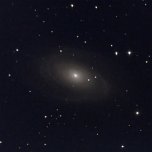 Bode's Galaxy, Messier 81