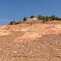 Site of dinosaur trackways near Red Fleet State Park (Utah)