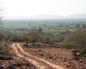 DSC07071 Ranthambore National Park