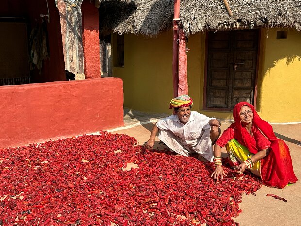 Jodhpur Roopraj Prajapat's Dhurrie Rugs, Mehrangarh Fort and Palaces, one of Jodhpur's Markets, Mandre Guest House