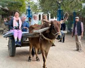 IMG_0269 Ox cart ride from at Hotel Bijay Niwas Palace