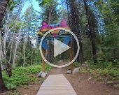 Mountain Biking in Kathleen, BC Mountain biking in Kimberly, BC