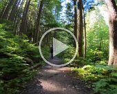 Mountain biking in Terrace, BC