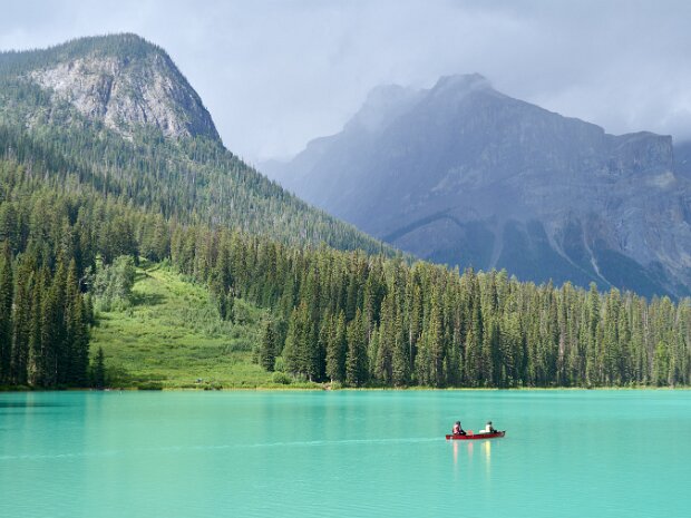 Yoho National Park (August 2025) Golden, Wapta Falls, Takakkaw Falls, Emerald Lake, Sherbrooke Lake Return to post
