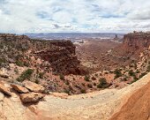 IMG_9023