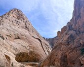 IMG_9317