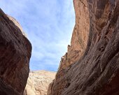 IMG_9332