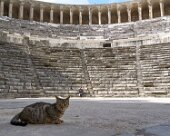 DSC03119 Aspendos theatre