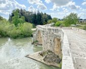 IMG_1536