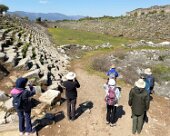 IMG_9593 Aphrodisias stadium