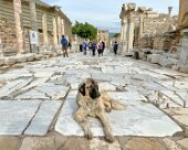 IMG_1805 Ephesus
