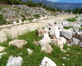 DSC03582 Xanthos