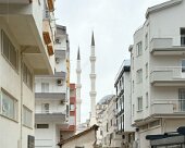 IMG_9848
