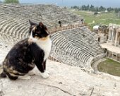 IMG_9541 Hierapolis