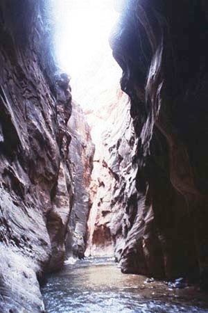 Narrows1