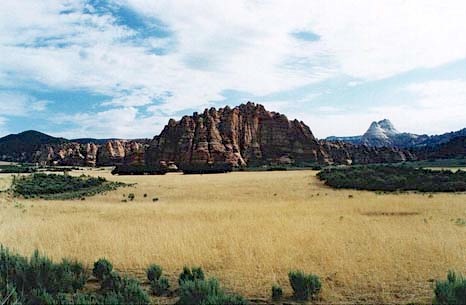 Zion-Grassland